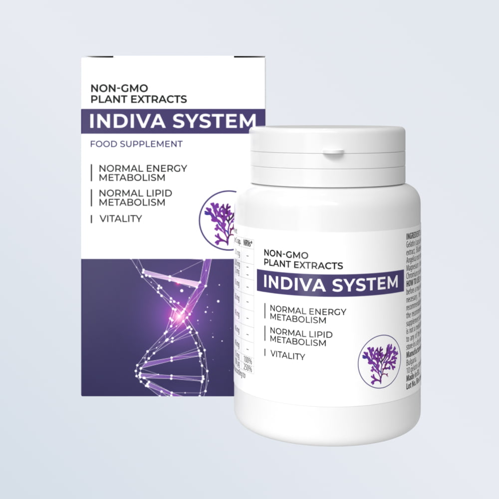 Indiva System France